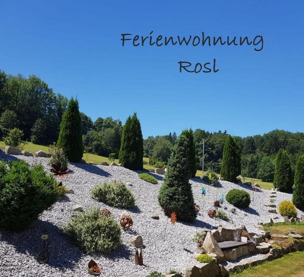 Ferienwohnung Rosl Waldkirchen Kültér fotó